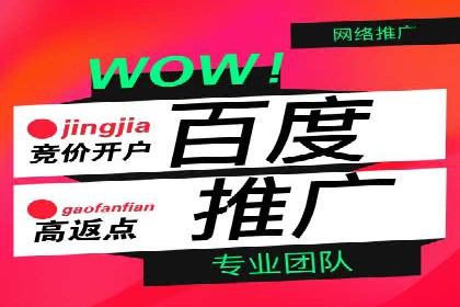 某电商企业如何通过百度竞价广告提升销售额